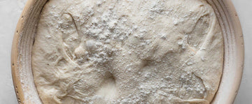 Proper proofing: how to work with yeast doughs