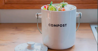 Recyclable, compostable, biodegradable: what's the difference?
