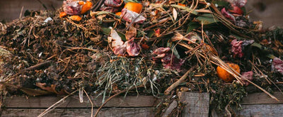 6 top tips on beginning your composting journey