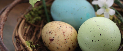 The Artistry of Easter Eggs: 4 Tips to Get Decorating